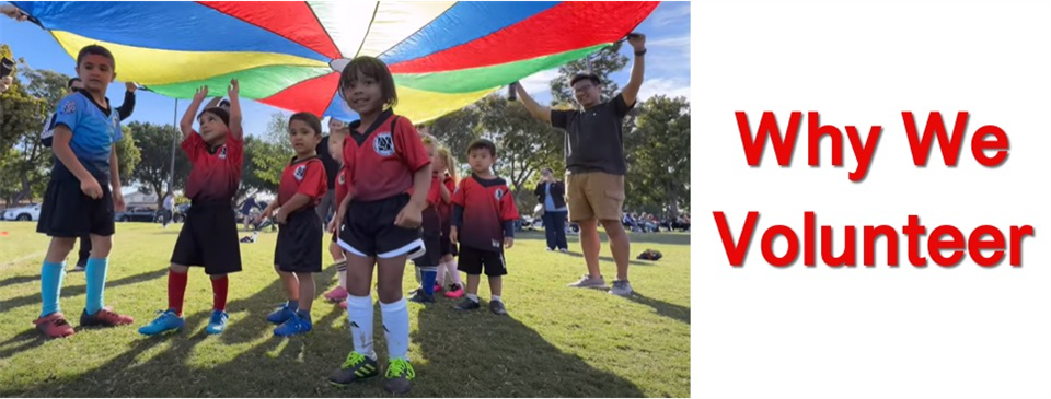 Why We Volunteer